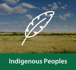An illustration of a feather overlays an image of the Saskatchewan prairie. Below the image, text reads 'Indigenous Peoples'