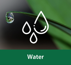 An illustration of three water droplets overlays an image of a bead of water hanging from a blade of grass. Below the image, text reads 'Water'